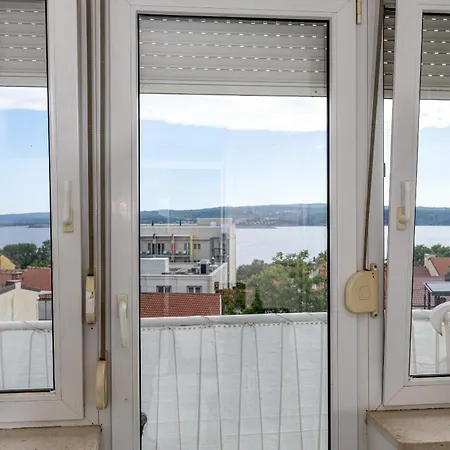 Iva 茨里克韦尼察