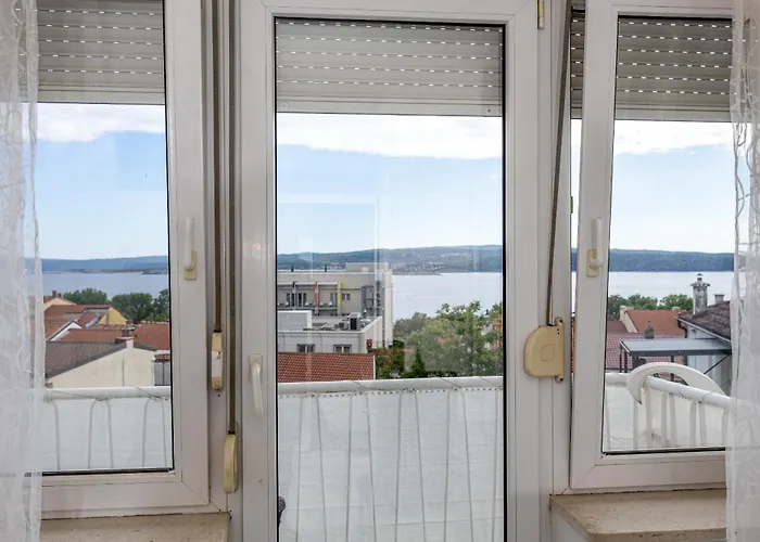 Iva ツリクヴェニツァ